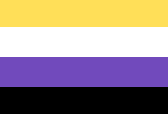 Pride Flagge Non-ninärer Menschen
