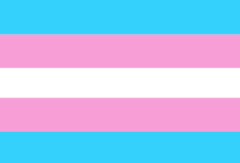 Pride Flagge für Transsexualität